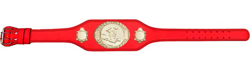 MMA CHAMPIONSHIP BELT-BUD295/G/MMAG-4 COLOURS